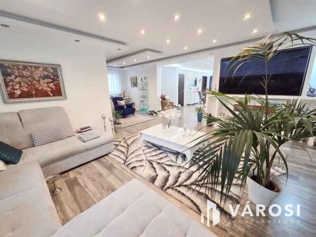Vízparti Luxusvilla Szigethalmon