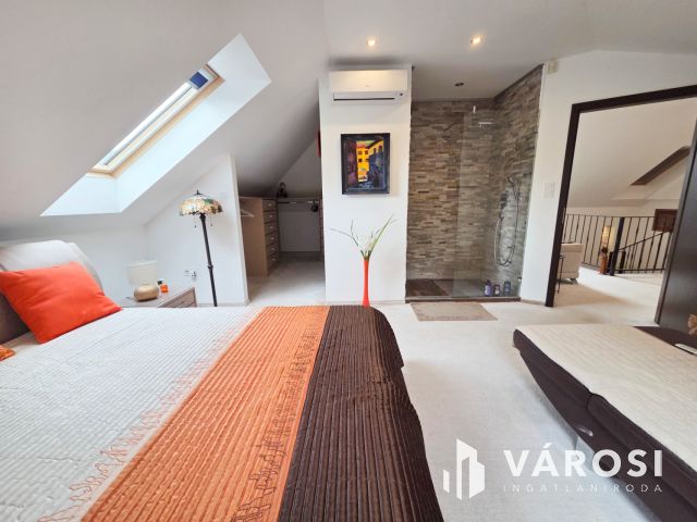 Vízparti Luxusvilla Szigethalmon