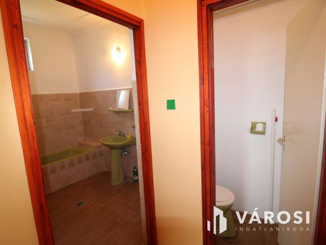 Családi ház nagy telekkel.